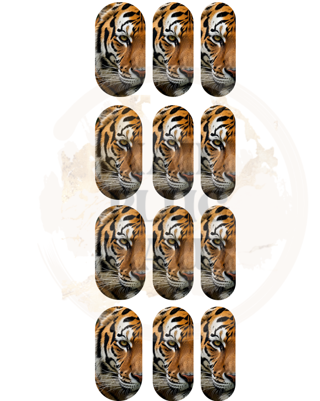 Tiger Nail Decals